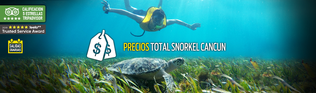 promo Snorkel