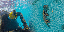 Esnórquel en un naufragio en Cancún(5a area)