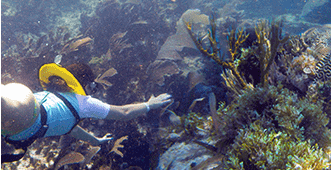 Cancun reef snorkeling (first area)
