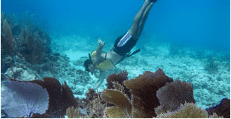 Cancun Underwater Museum (second area)
