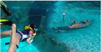 Swim with turtles Cancun (third area)