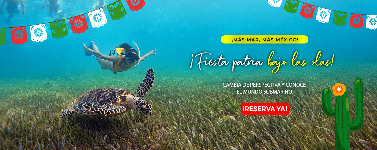 Sumérgete en la Excelencia Descubre la Mejor Experiencia de Snorkeling en Cancún