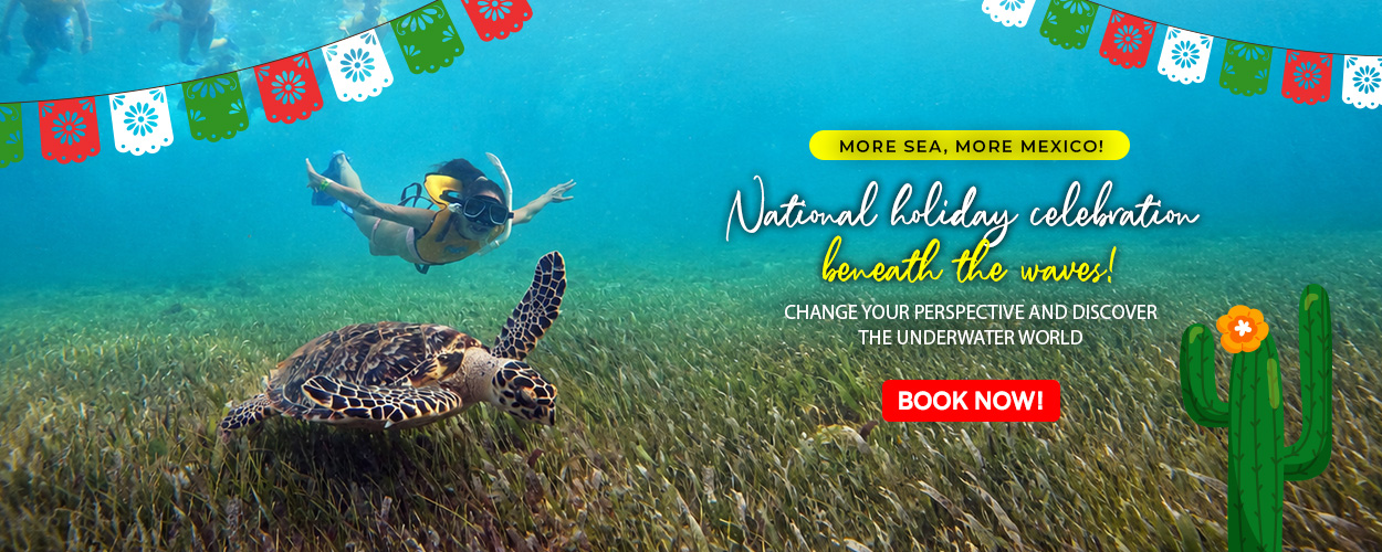 Immerse Yourself in Excellence Unveiling the Best Cancun Snorkeling Tours