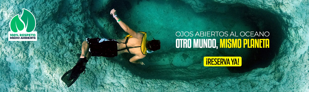 medio ambiente