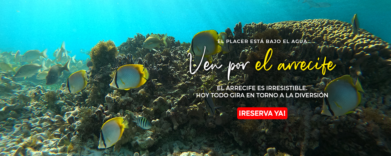 Sumérgete en la Excelencia Descubre la Mejor Experiencia de Snorkeling en Cancún