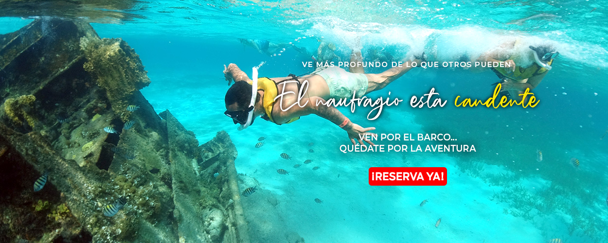 Sumérgete en la Excelencia Descubre la Mejor Experiencia de Snorkeling en Cancún