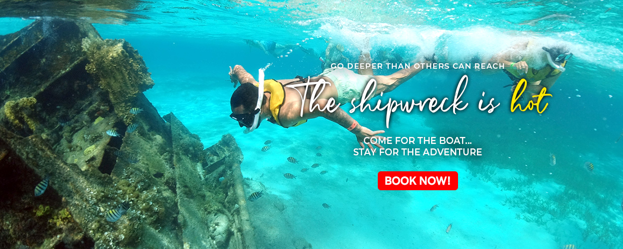 Immerse Yourself in Excellence Unveiling the Best Cancun Snorkeling Tours