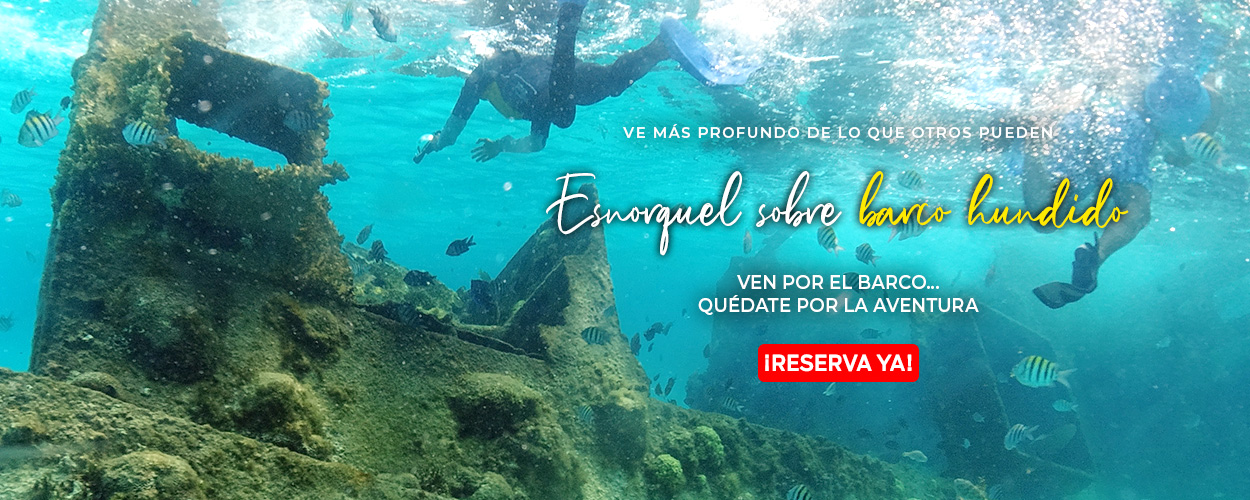 Sumérgete en la Excelencia Descubre la Mejor Experiencia de Snorkeling en Cancún