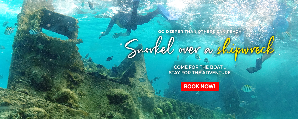 Immerse Yourself in Excellence Unveiling the Best Cancun Snorkeling Tours