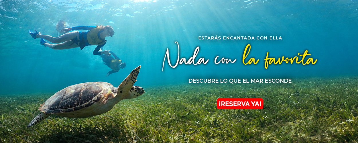 Sumérgete en la Excelencia Descubre la Mejor Experiencia de Snorkeling en Cancún