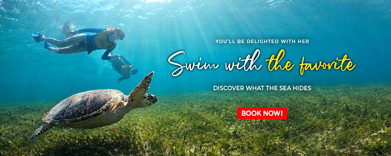 Immerse Yourself in Excellence Unveiling the Best Cancun Snorkeling Tours