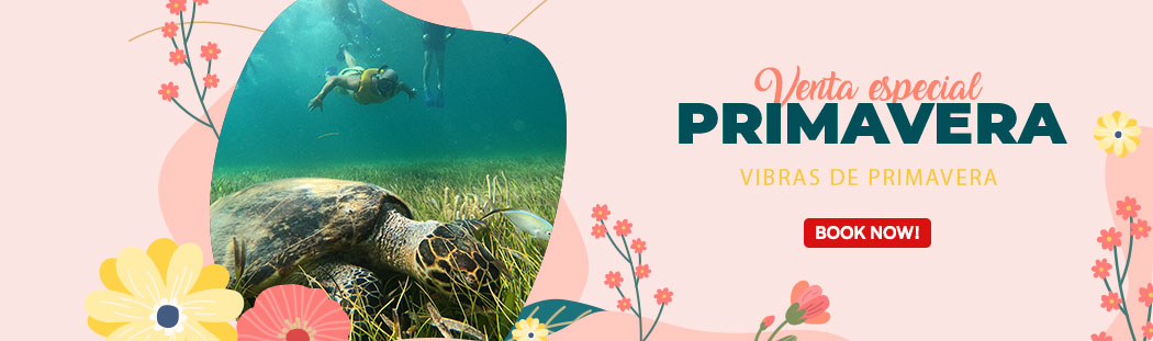 primavera