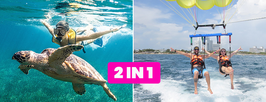 Swim And Fly Tour Package