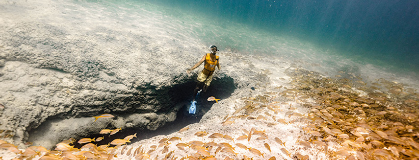  Enjoy the astonishing underwater statues