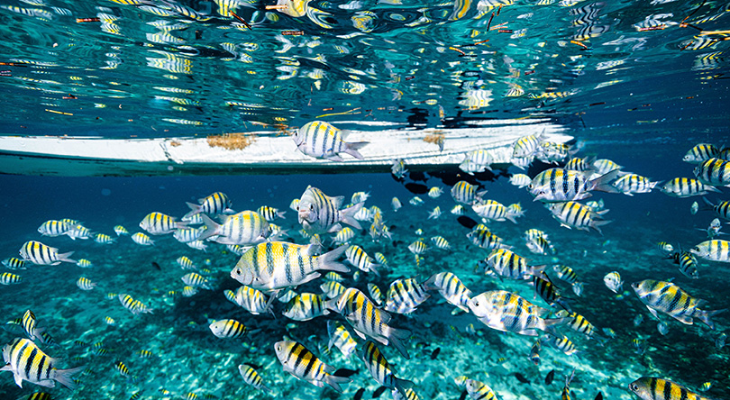 underwater museum in cancun
