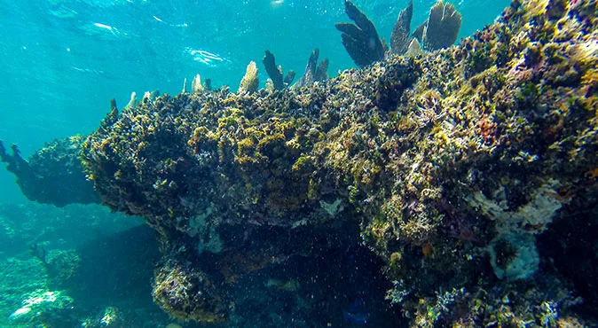 snorkeling en cancun