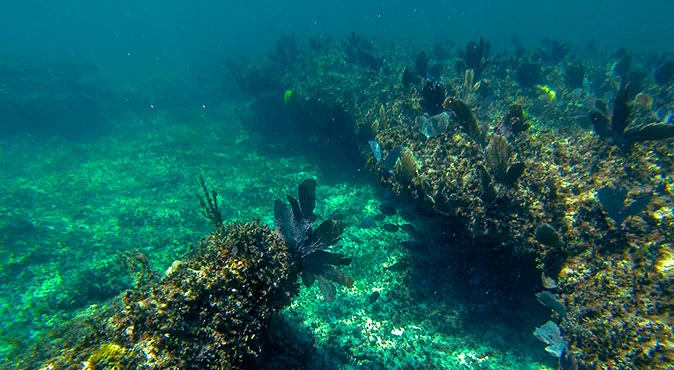 snorkeling en cancun