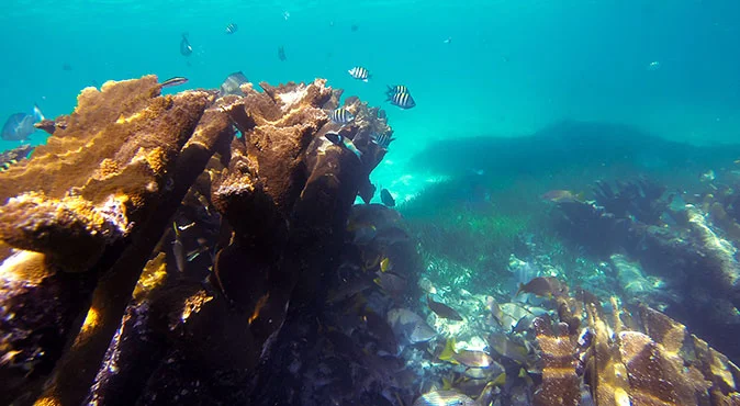 snorkeling en cancun