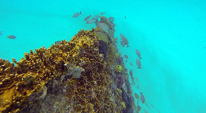 museo submarino en cancun