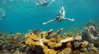 reef in cancun snorkeling hotel zone