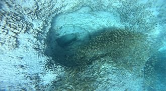 Underwater cenotes in Cancun