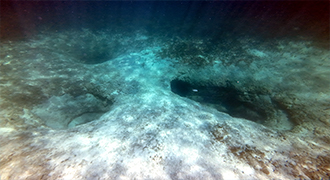 Underwater cenotes in Cancun