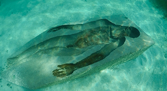 Cancún National Marine Park