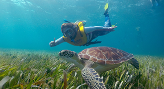 swim underwater hotel zone