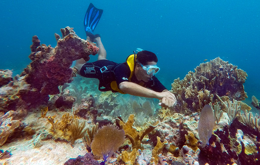 Enjoy the natural beauty underwater