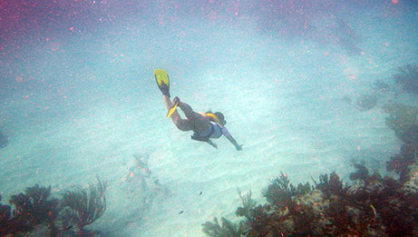 Jump and immerse into the beautiful caribbean water