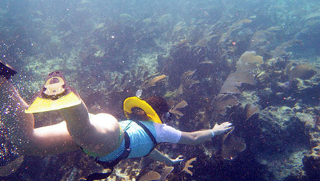 Swim with sea turtles