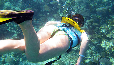 Shipwreck Cancun Snorkeling Tour