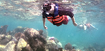 swim with turtles cancun (third area)