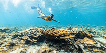 Esnórquel en los arrecifes de cancun(Primera area)