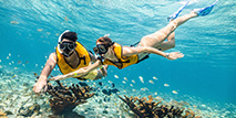 Cancun Underwater Museum (second area)