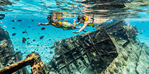 Snorkel en un naufragio en Cancún(5a area)