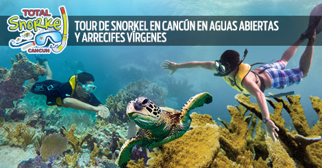 Tour De Snorkel En Cancún En Aguas Abiertas Y Arrecifes Vírgenes