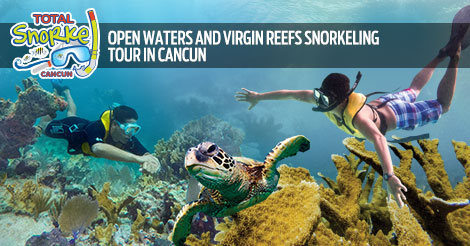 Open Waters And Virgin Reefs Snorkeling Tour In Cancun 