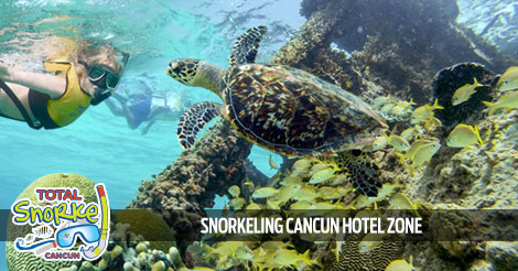 Snorkeling Cancun Hotel Zone