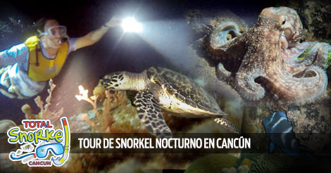 Tour De Snorkel Nocturno En Cancún, Mexico
