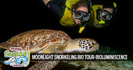 Cancun Moonlight Snorkeling Bio Tour