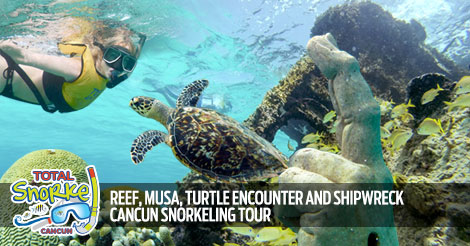 Snorkeling In Cancun With Turtles, Reef, Underwater Statues, Shipwreck And Underwater Cenote