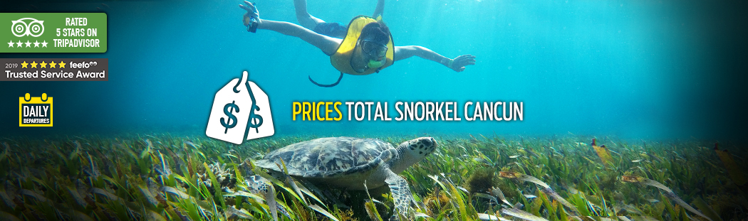 precios Snorkel