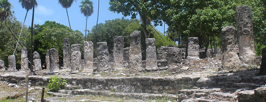 snorkel y ruinas mayas