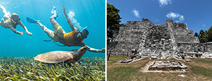 Esnorkel nado con tortugas y ruinas mayas en cancun