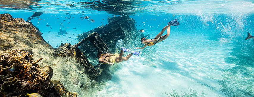 Snorkeling For Beginners
