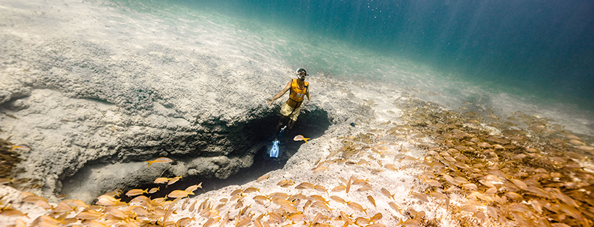 Jump and immerse into the beautiful caribbean water