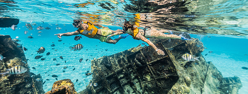 Enjoy the natural beauty underwater