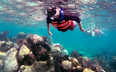 Explore The Submarine Beauties With Our Snorkel Tour At Nizuc