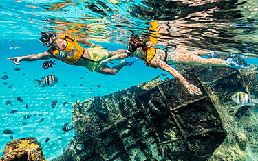 snorkel sin transportacion